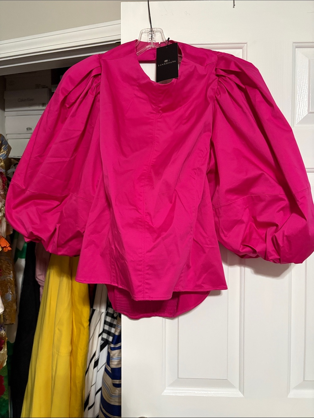 Banana Republic Bright Fuchsia Puff-Sleeve Blouse
